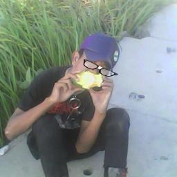 PERLAWANAN TANPA BATAZ