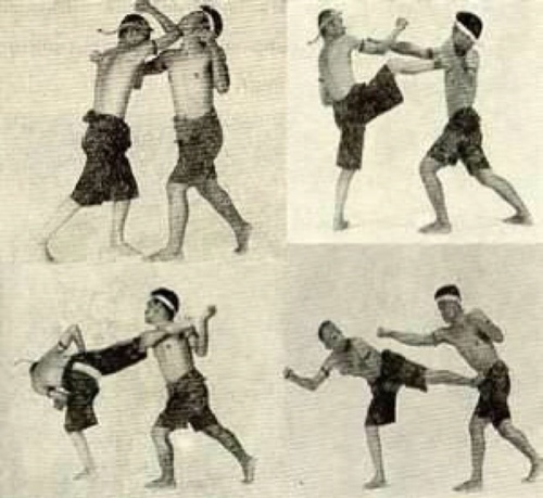 IT, Muay Thai, BJJ, Advocare