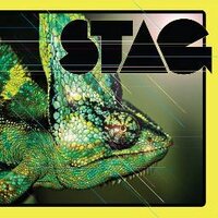 STAG (@stagseattle) 's Twitter Profile