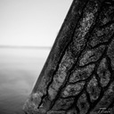 Tim Trott - @TTrottphoto - Twitter