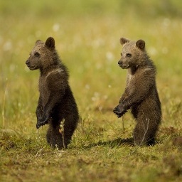 zachberkman's profile picture. I make music. Good morning wherever you are.