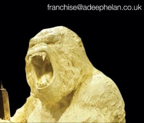 A new way to franchise..
Contact:
franchise@adeephelan.co.uk