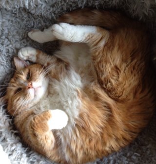 ElsVersyck's profile picture. 