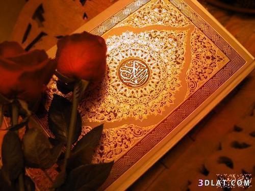اعتني جيدا بسمعتك لانها ستعيش اكثر منك ... كل ما يروق لي بمفضلتي...