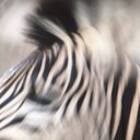 janet bourne - @janetbourne - Twitter