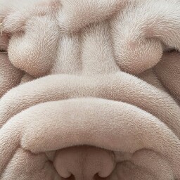 xform_tw1's profile picture. 