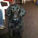 shane gillen - @hlsgillen - Twitter