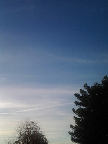 FixSociety's profile picture. Saving Society One Step at A Time. #WeFollowBack. End Cruelty. Time To Get America Fixed