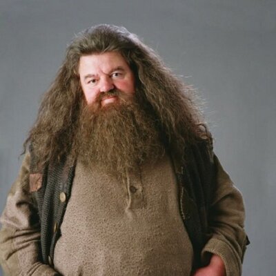 hagrid (@HagridBoii) / Twitter