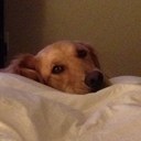 Ann Wallace - @amw1298 - Twitter