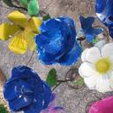 Constance Cross - @ConstanceJCross - Twitter