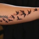 Danielle Torquato - @danitvd - Twitter