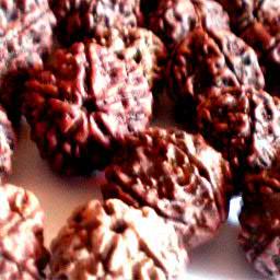 Original Rudraksh from Indonesia 1-22 mukhi, ganesh, gouri shankar, garbha gouri Email : Indorudraksh@gmail.com Phone : +6281317232823