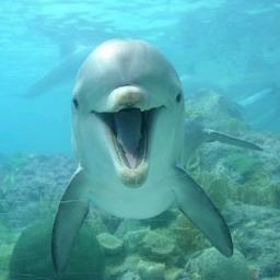 Volunteer SeaShepherd #nosharkcull  Event Organizer Jan/Feb 2014 https://t.co/PA6Orkr3Rk  Mostly Used For Storms.  Also @LamondMichael