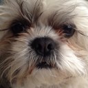 sheri dickey - @banmacmadba - Twitter