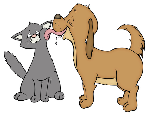 Shadow's Animal Rescue, Inc is a 501c3 non-profit animal rescue located in Boynton Beach, fl. We  specialize in dogs with behavior and aggression issues.