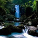 ann vincent - @ann_vincent4 - Twitter