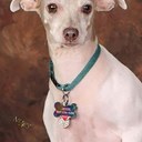 Sharon Stump - @sharonks1951 - Twitter