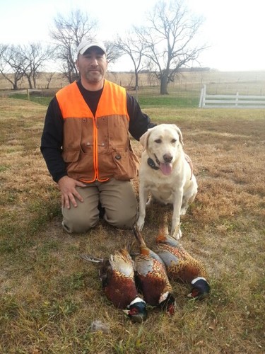 flashman89's profile picture. 