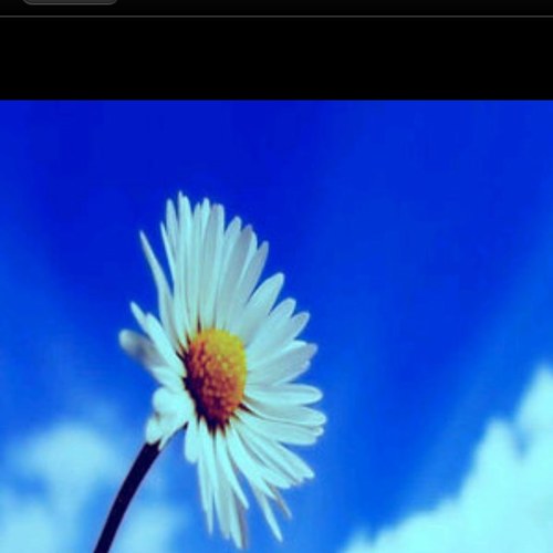 استغفر الله العظيم ً