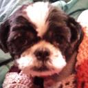 Nina Blackshear - @krscjosa - Twitter