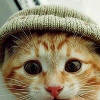 PP Lee (@ppli) 's Twitter Profile