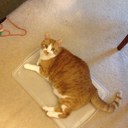 Adam Auger - @AdamAuger79 - Twitter