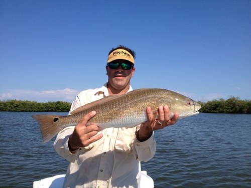 Pursell Agri tech control release technical sales-snook and redfish catching guru......sometimes, when I am real lucky, or have no customers on the boat.