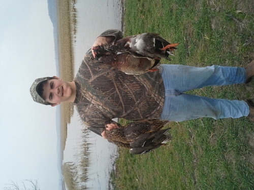 tobaccerspitter's profile picture. 