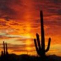 🇺🇸 Secure the Border 🇺🇸 (@b4jc2005) 's Twitter Profile