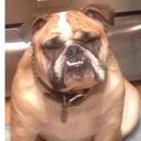 Allan Mayer - @BarryWLawless - Twitter