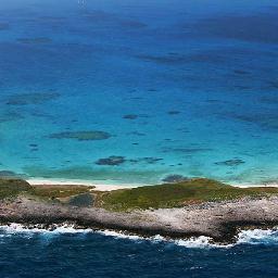 Edgarfortune1's profile picture. 