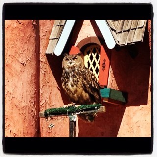 sarahbrittina's profile picture. 