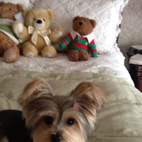 maureenburns's profile picture. 