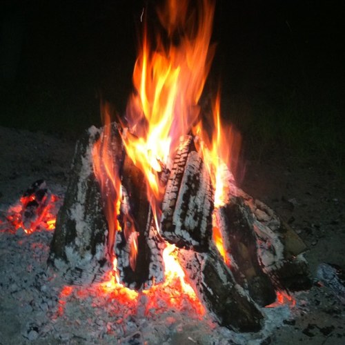 mandylazella's profile picture. 