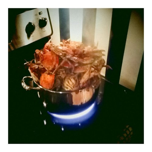 monkieswithguns's profile picture. rt's may or may not = endorsement
(if you can't decide, dm me)