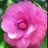 orage12's profile image