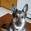 Curt Higgins - @CurtHiggins1 - Twitter