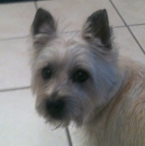 clgaddie's profile picture. 