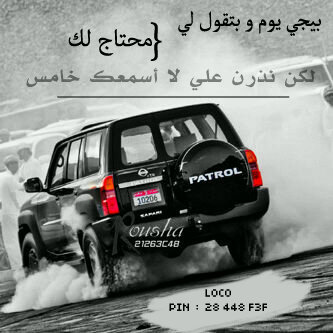 the_hamood's profile picture. 