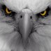 M. Chris Eagleton (@mceagleton) Twitter profile photo