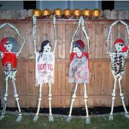 Kim_Whippets's profile picture. 