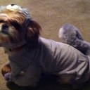 cody levi ferguson - @levi_cody - Twitter