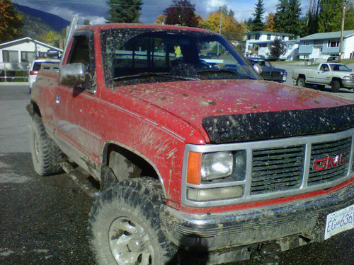 minishuky's profile picture. 