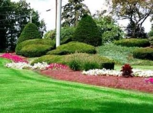 A landscape company that offers everything from monthly maintenance to complete installation of all landscape products. Find us on Yelp, facebook and B.B.B