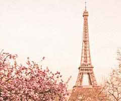 Hi!
cute girl this page is for you
U'll find nice things!♥