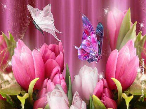 ali_hamde_'s profile picture. 