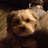 FL_Mom_of_4's profile image