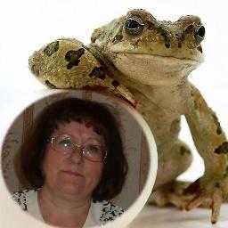 l_borzova's profile picture. Пенсионер,ветеран труда,ЧЕЛОВЕК.