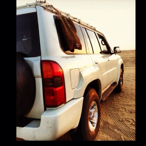 Mst3d's profile picture. 